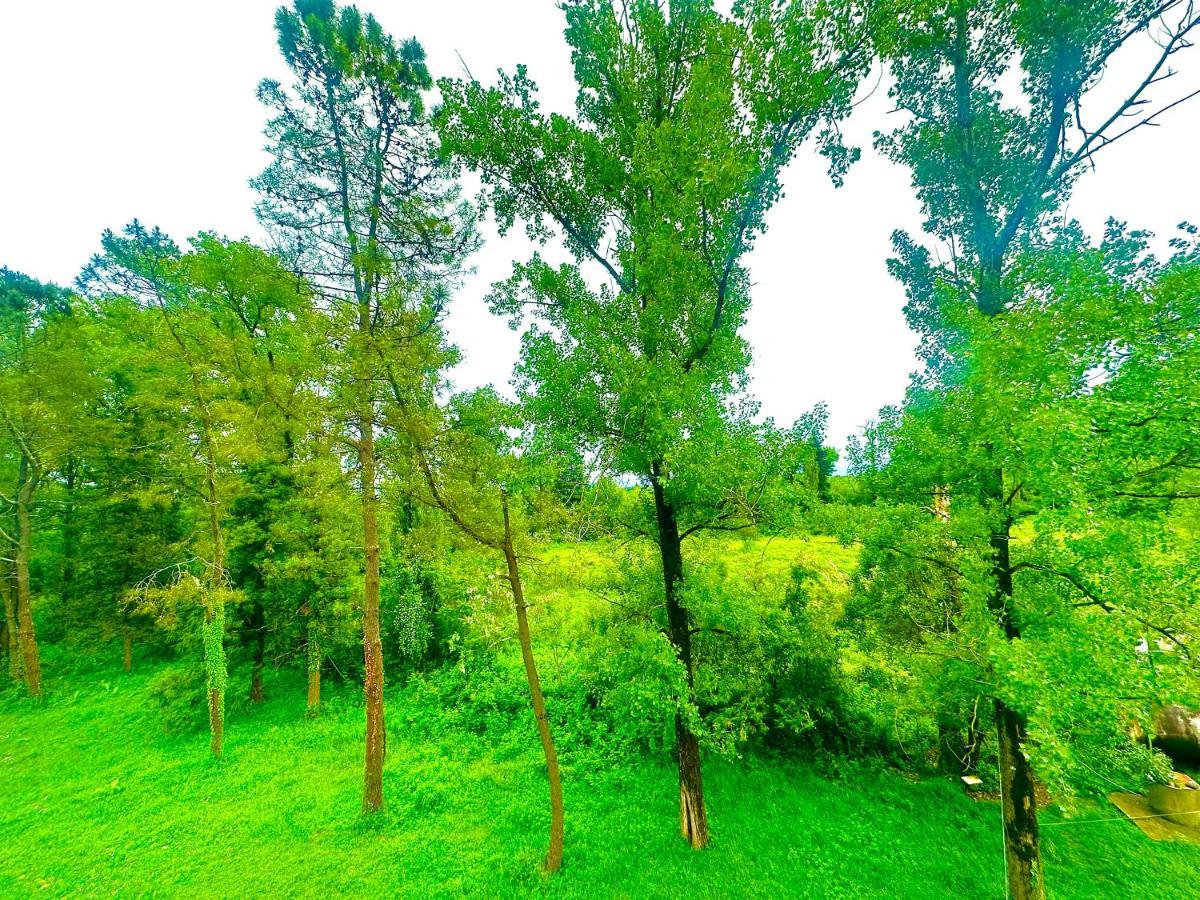Imeri Park Hotel Kutaisi Luaran gambar